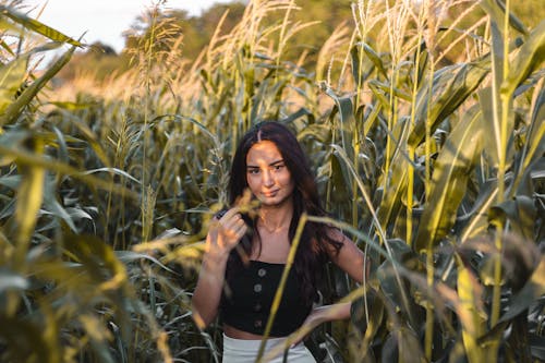 Woman in Black Crop Top Standing Between Corn Plants