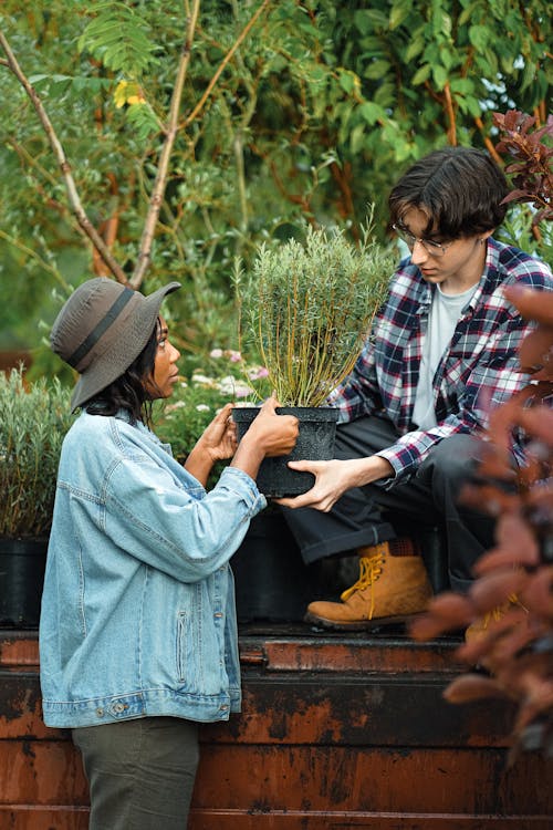Man Handing a Potted Plant to a Woman