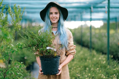 Free A young woman smiles while holding a potted plant, standing in a greenhouse. Stock Photo