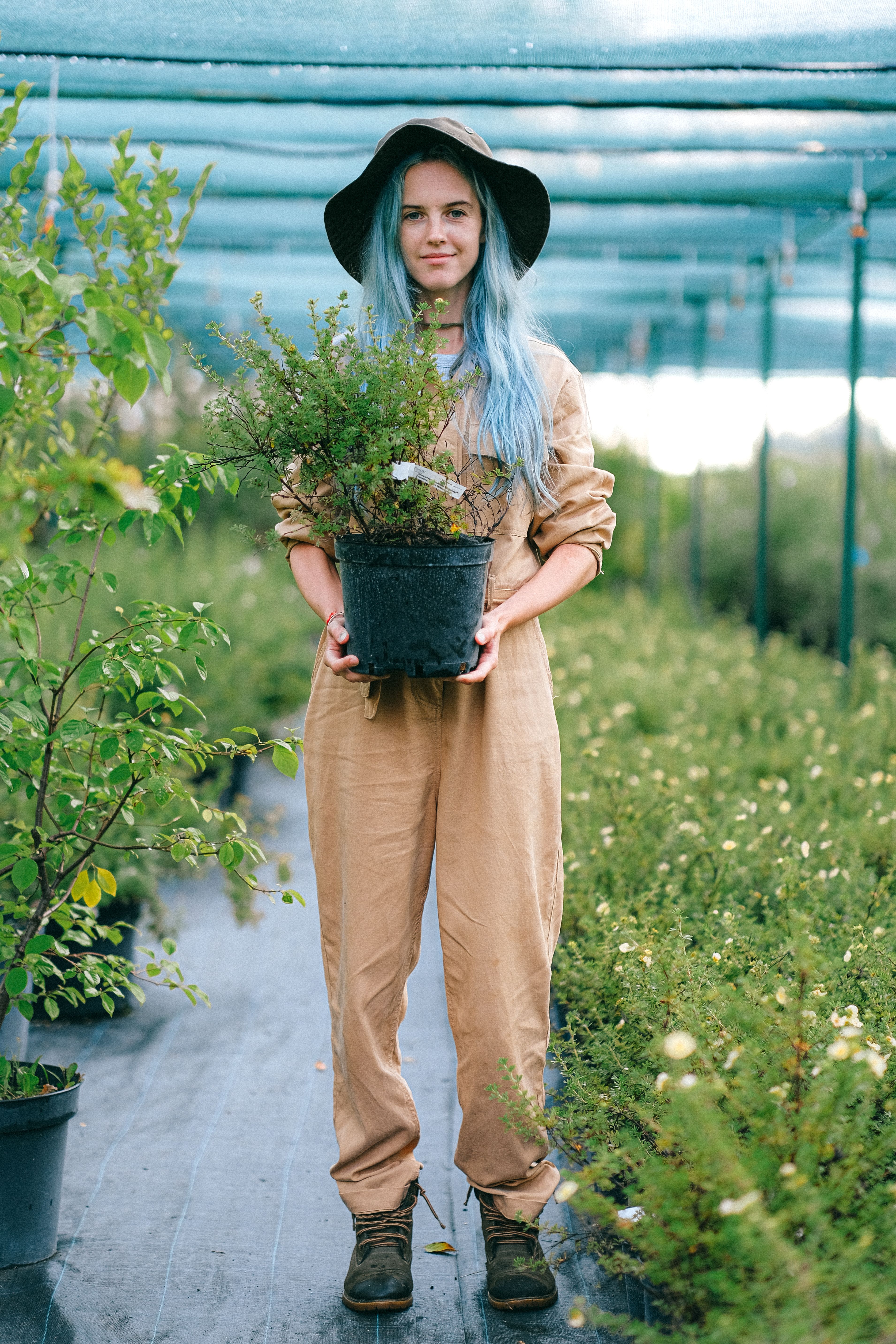 一位染着蓝发的女园丁，在郁郁葱葱的温室里拿着一棵盆栽植物