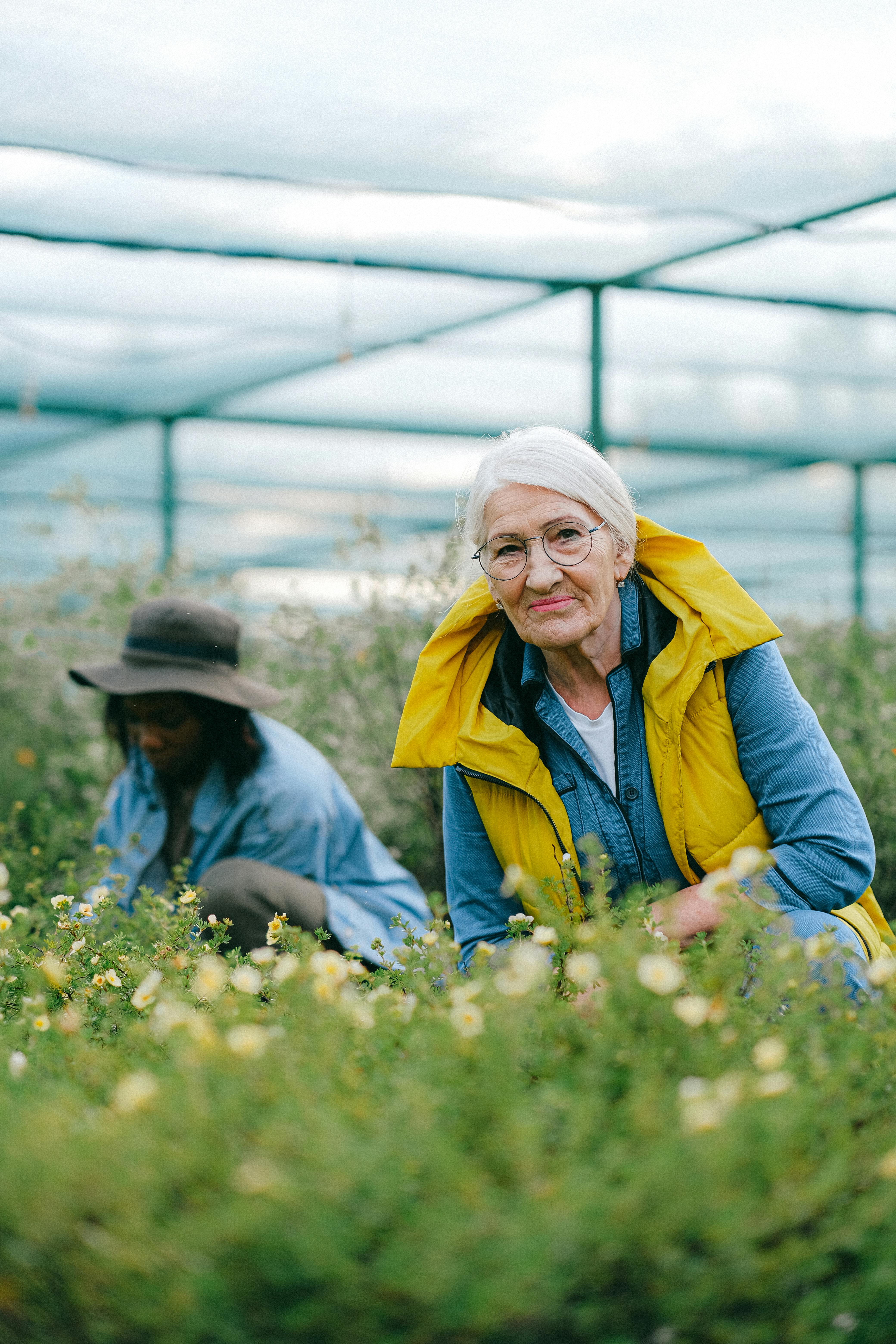 A variety of colorful flowers planted together in a garden bed.
