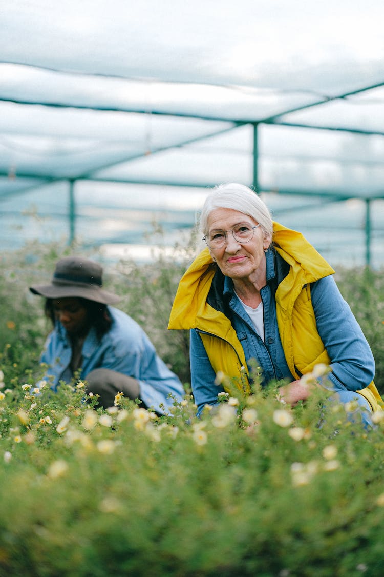 
An Elderly Woman Gardening