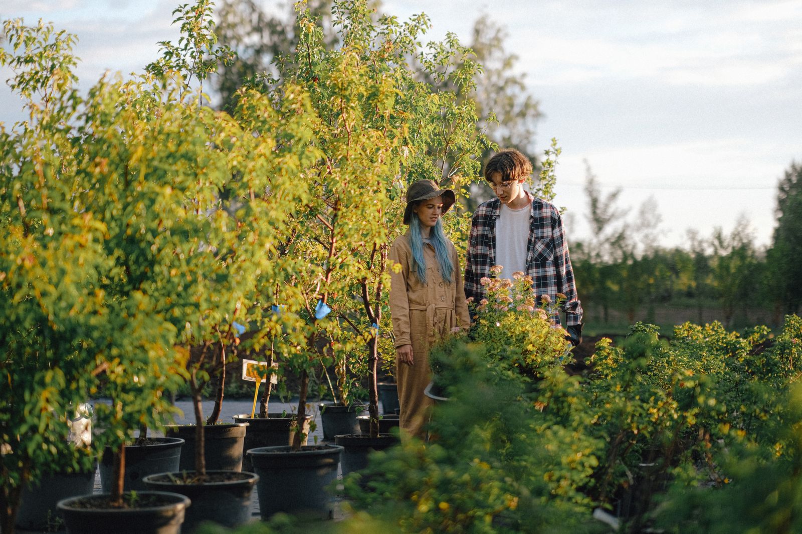 Two people looking at potted plants in an outdoor nursery
