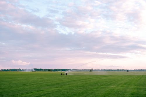 Green Grass Field Under White Clouds