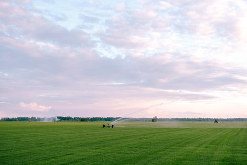 Free A wide green field with irrigation systems under a pink sunset sky, showcasing rural tranquility. Stock Photo