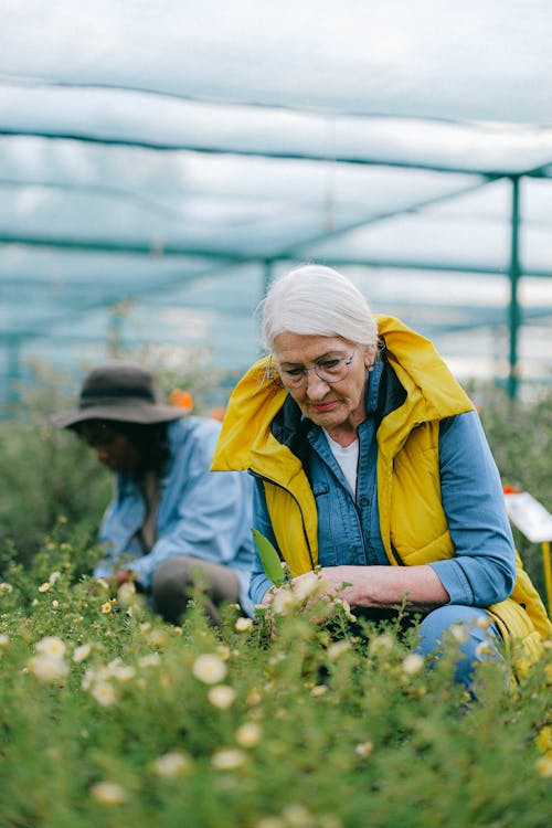 An Elderly Woman Looking at the Flowers on the Field