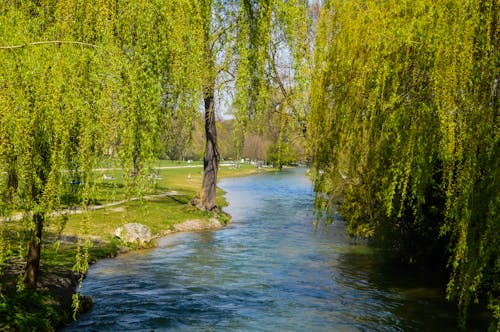 Free stock photo of german, landscape, munich