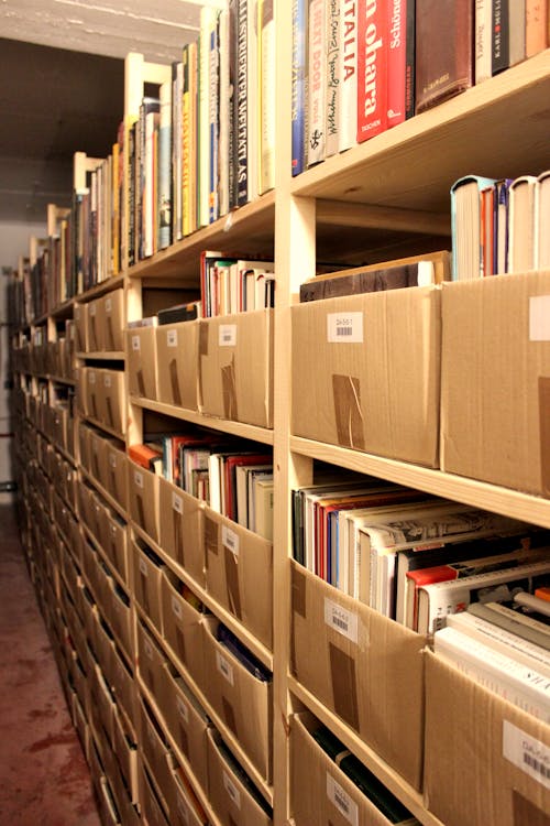 Free stock photo of book, book shelf, book shelves Stock Photo
