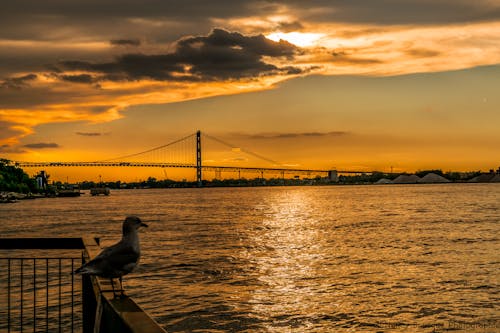 ciel, ciel coucher de soleil, coucher de soleil içeren Ücretsiz stok fotoğraf