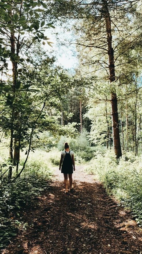 Free A woman walks on a sunlit forest path surrounded by lush greenery, embodying exploration and adventure. Stock Photo