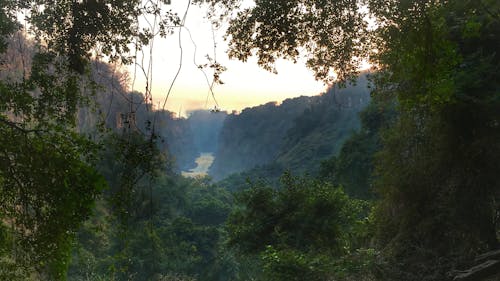 Free stock photo of forest, gorge, river