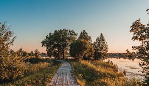 Ilmainen kuvapankkikuva tunnisteilla auringonlasku, auringonvalo, botaniikka Kuvapankkikuva