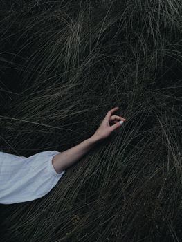 一只喜怒无常的艺术形象的手在草丛中，营造出神秘的凉爽氛围