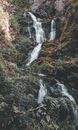 Waterfalls in Forest