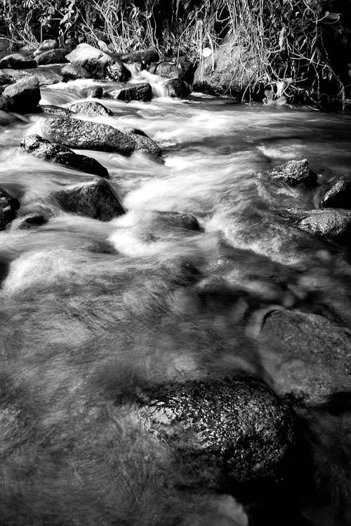 강, 긴 노출, 바위의 무료 스톡 사진
