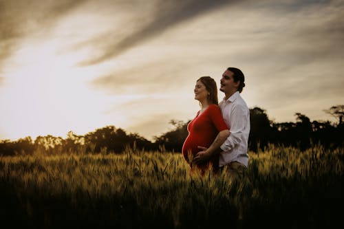 Man in White Dress Shirt Hugging a Woman in a Red Dress in a Green Grass Field