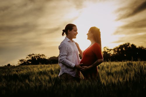 Fotos de stock gratuitas de amor, branco, cachoeira