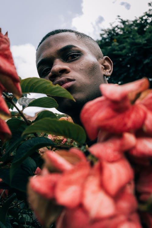 From below pensive young African American male standing in blossoming garden and looking at camera through pink flowers