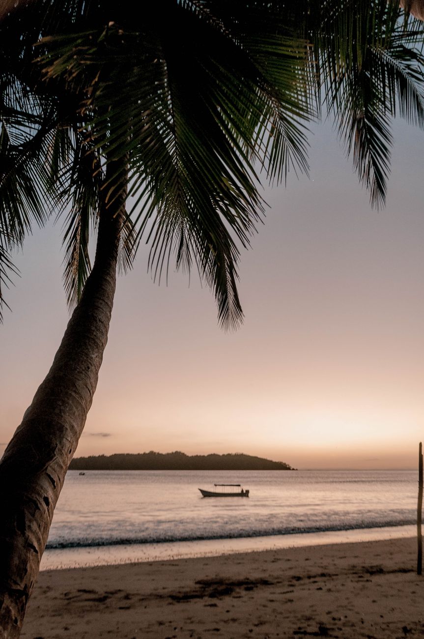 Palm trees overlooking a serene beach at sunset with a distant boat in Panama — peaceful Caribbean coastal scenery.