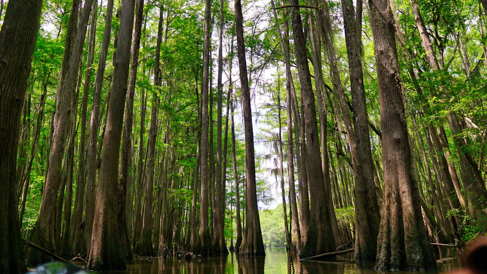 Sam Rayburn Reservoir