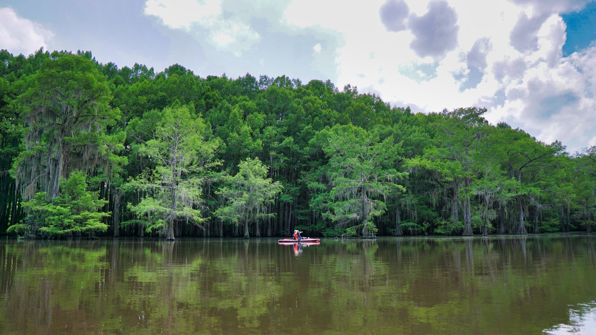 Experience tranquility with lush cypress trees reflecting on Caddo Lake, perfect for paddleboarding enthusiasts.