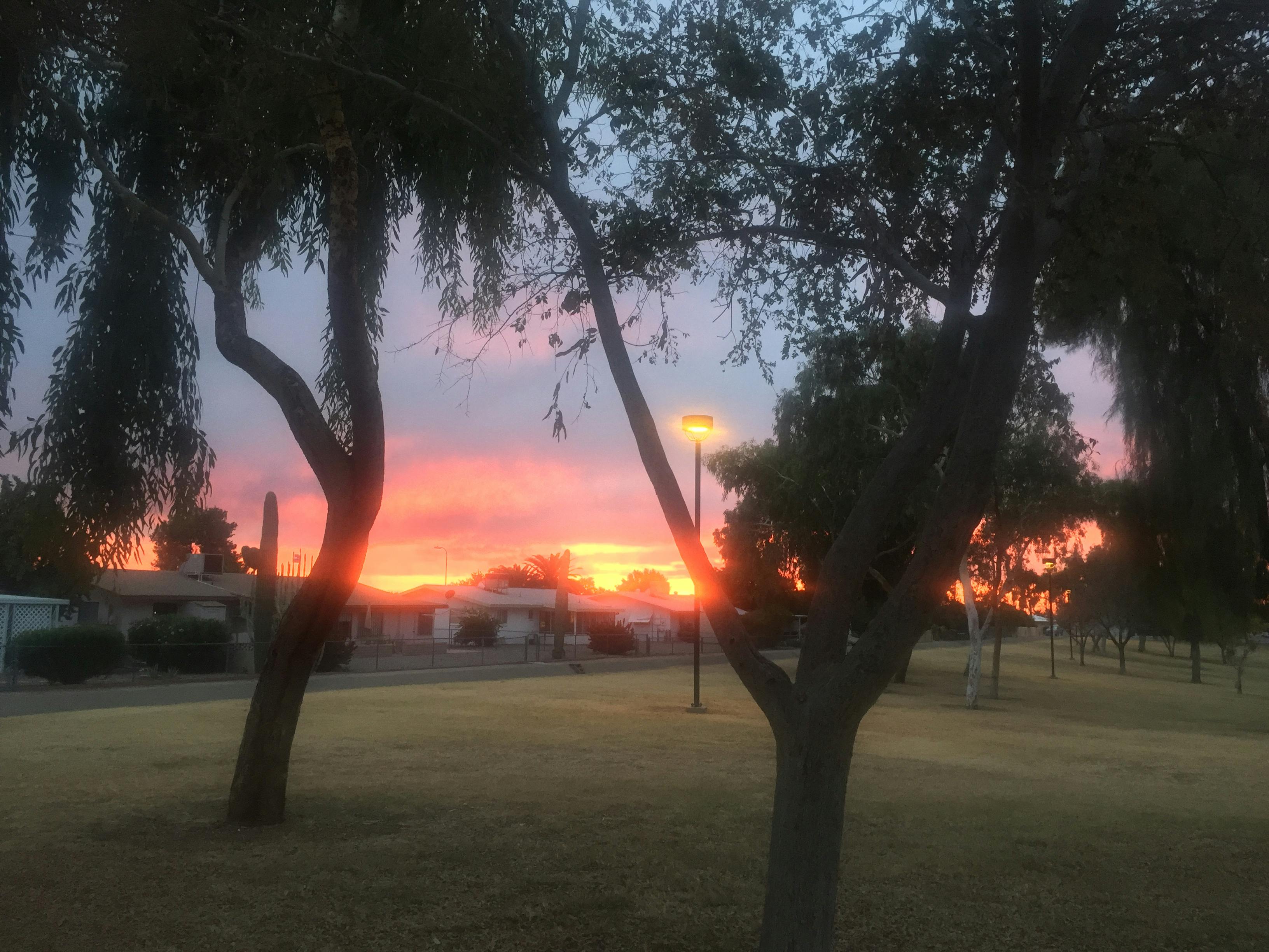 成都建筑企业资质证书查询