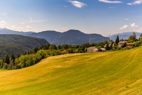 Houses on a Grass Field