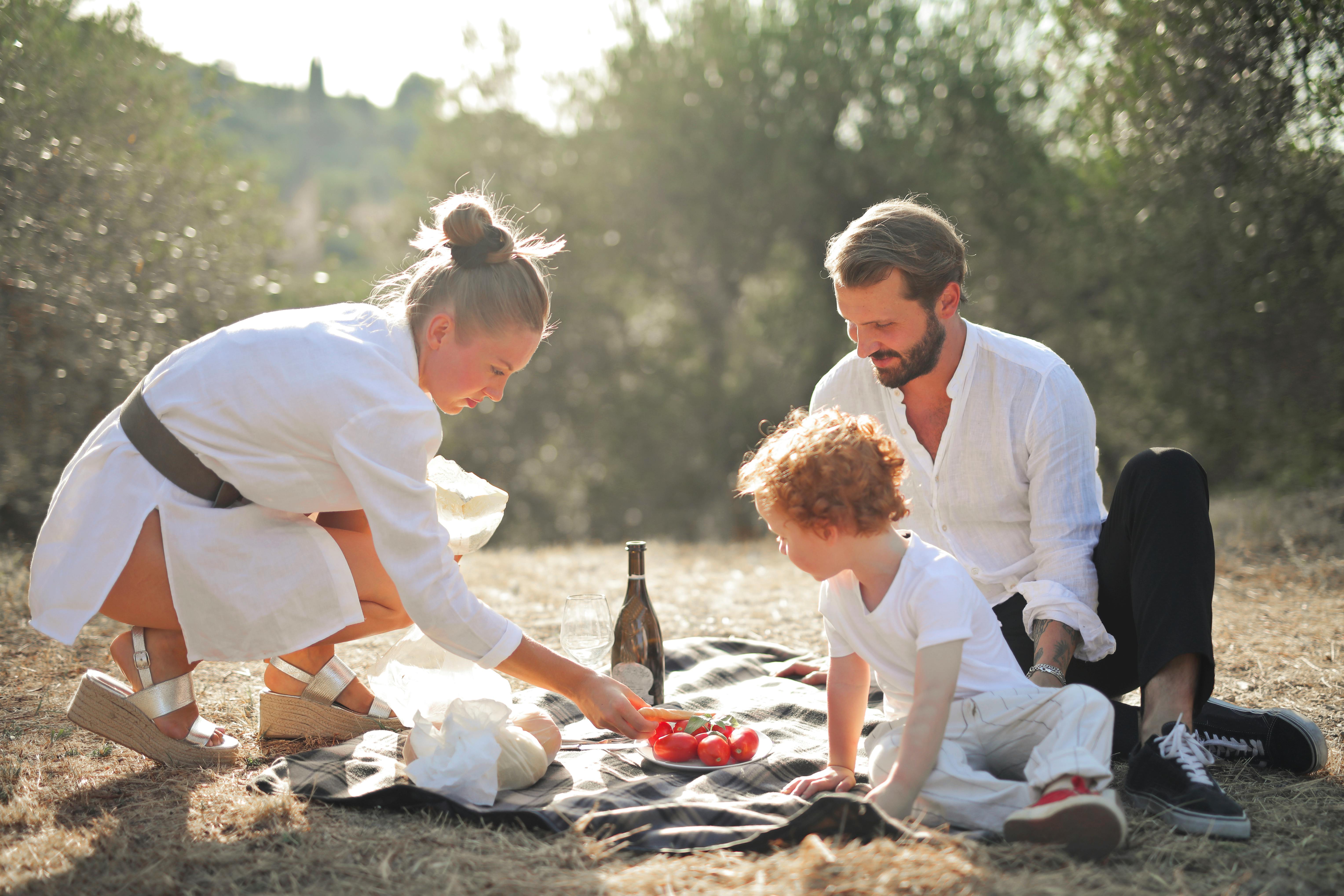 Plug pulled on family Traveller site plan — Photo by Andrea Piacquadio on Pexels