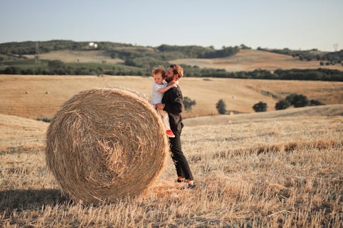 Fotos de stock gratuitas de bala, caer, campo