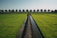 Black Concrete Pathway Between Green Grass Field
