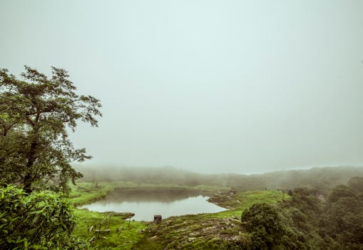 在印度梅加拉亚邦，一个被郁郁葱葱的绿色植物包围的湖泊，呈现出一片宁静的雾蒙蒙的景观