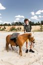Girl in Black and White Long Sleeve Shirt Riding Brown Horse