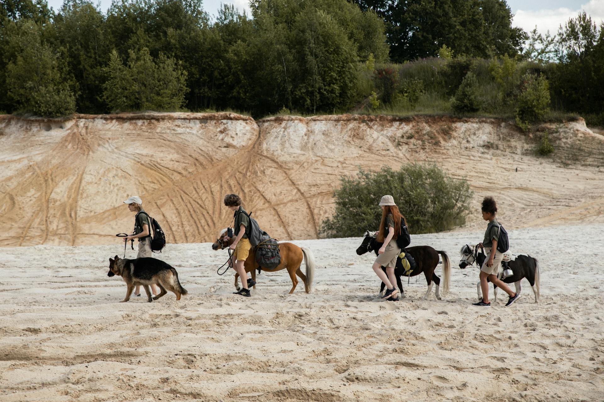 Girls Walking on a Beach with Horses and a Dog