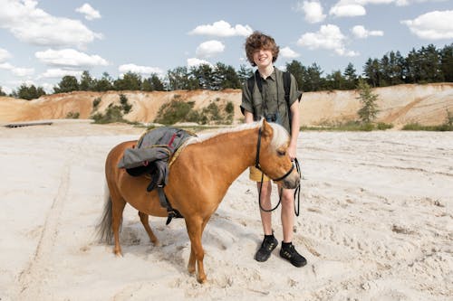 Fotos de stock gratuitas de adolescente, animal, caballo