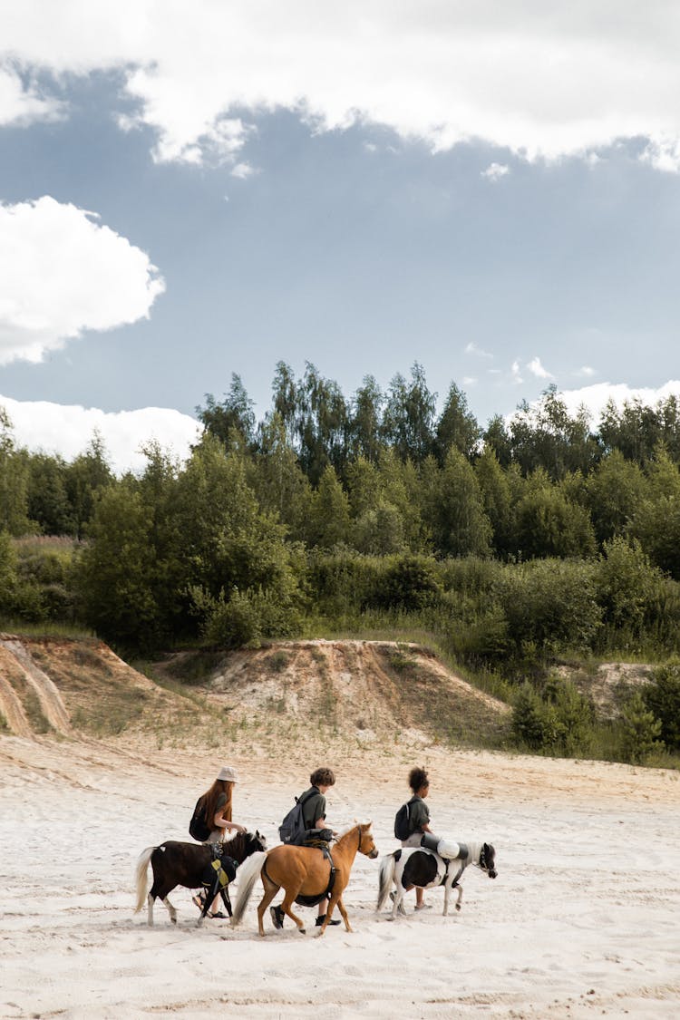 Children Riding On Ponies On A Beach 