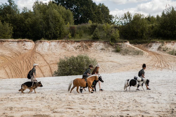 Children Walking Donkeys At Beach