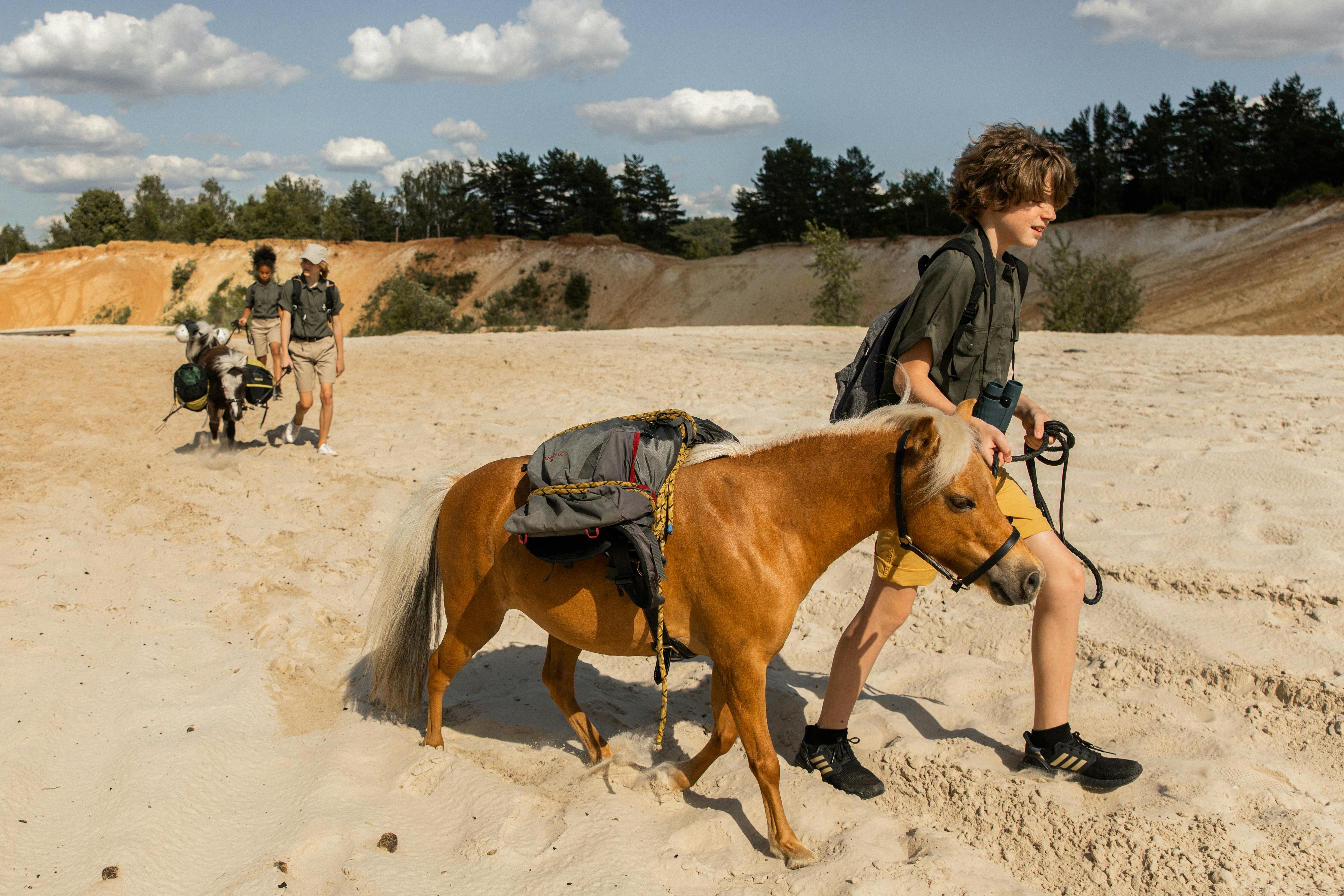 scouts walking with ponies in a sand