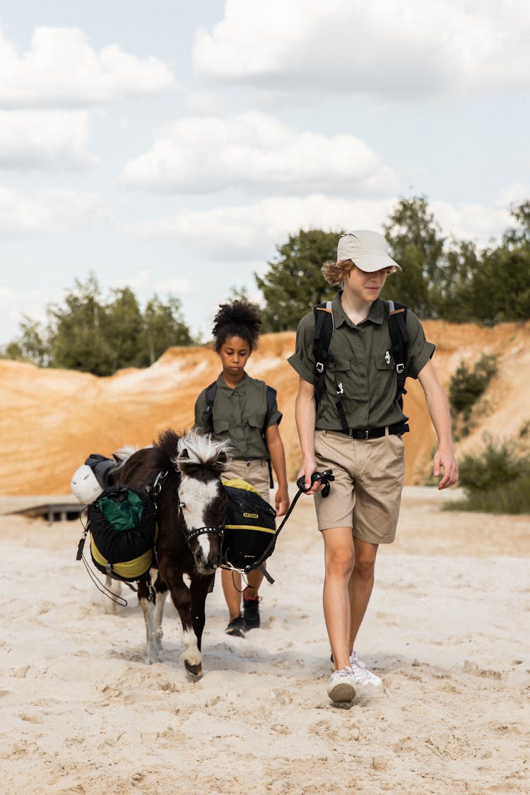 Children Leading Donkey On Beach