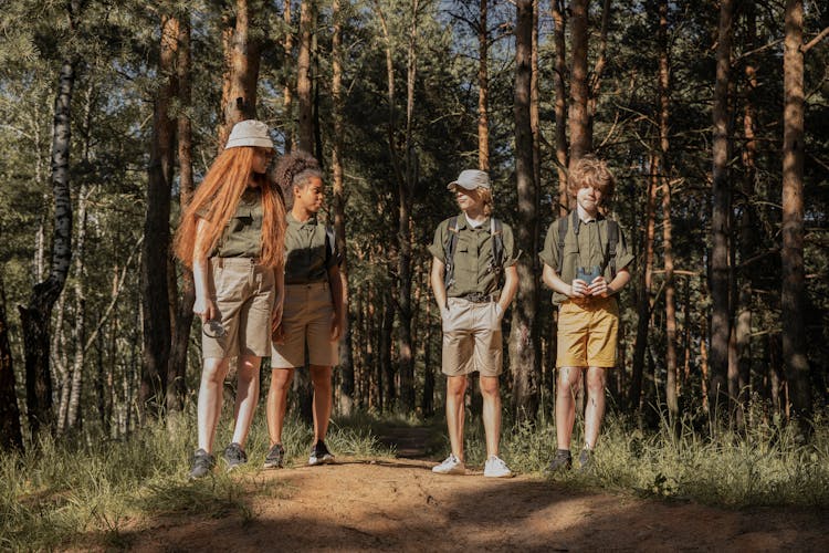 Scouts Standing In Forest