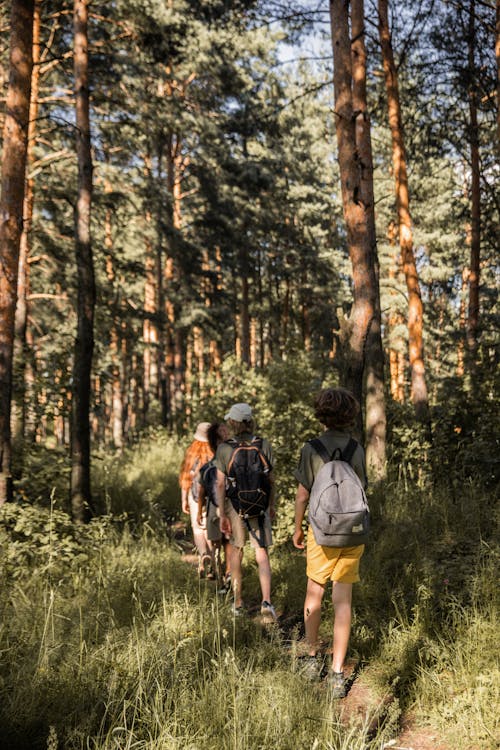 Boys Walking on Path in Fores