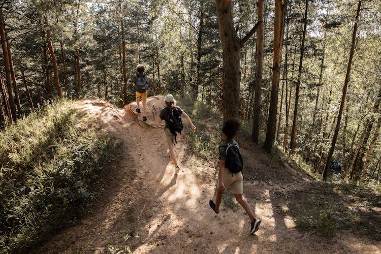 Teenagers Hiking Through Forest