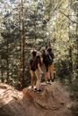 People Walking on Brown Rocky Road