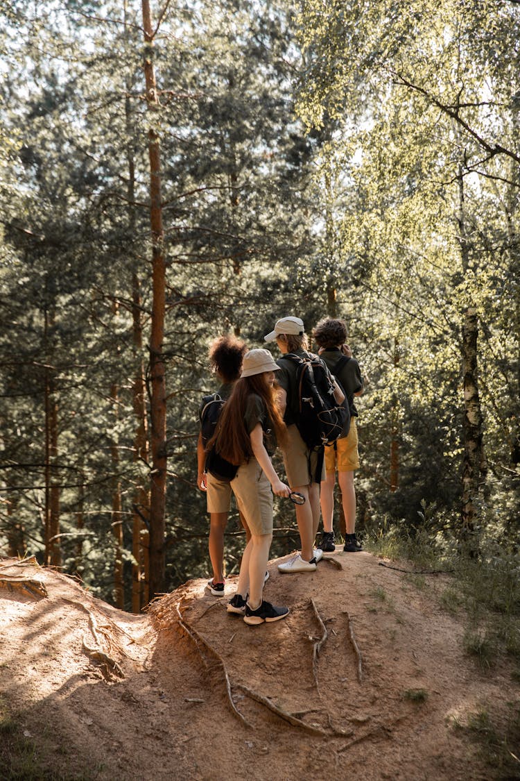 Group Of Teenagers Hiking In Forest