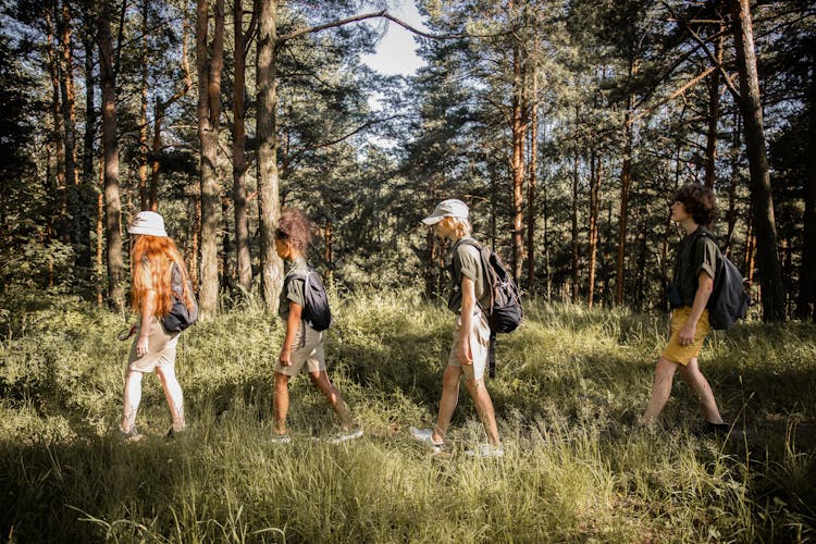 Teenagers Hiking Through Forest