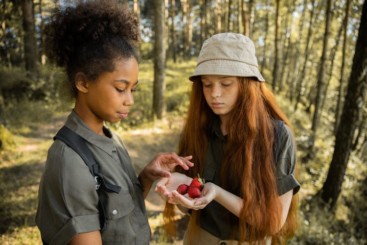 Girls With Wild Strawberries In Forest