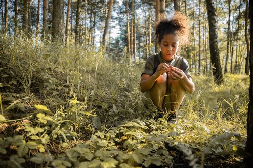 Free A young girl crouches in a sunlit forest, exploring nature. Stock Photo