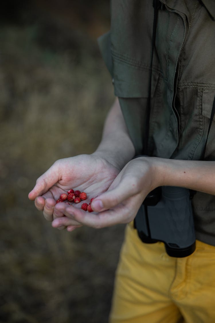 Hands Holding Wild Berries