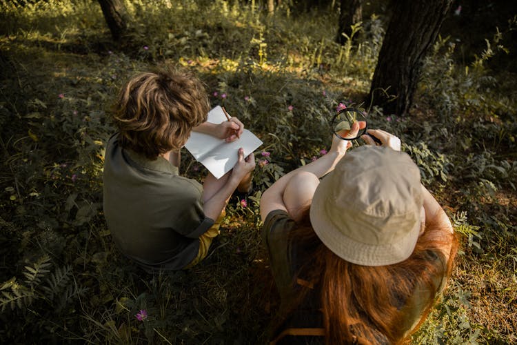 Top View Of Children Zookeepers Exploring Wild Nature