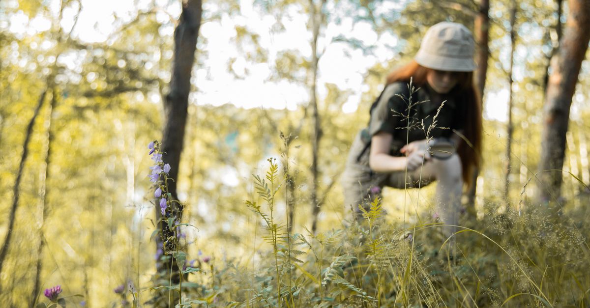 Spring survey