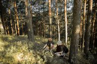 2 Women Sitting on Grass Field Surrounded by Trees